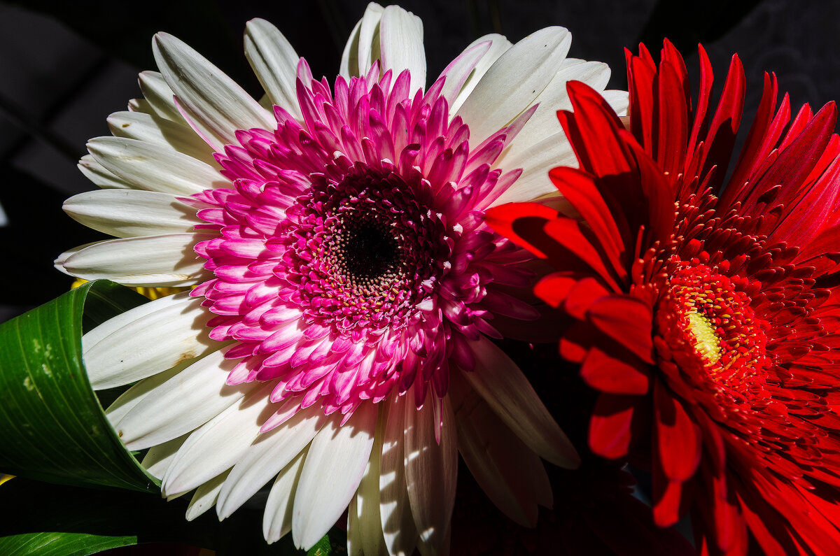 *** - Виктор Иванович Чернюк *** - Виктор Иванович Чернюк