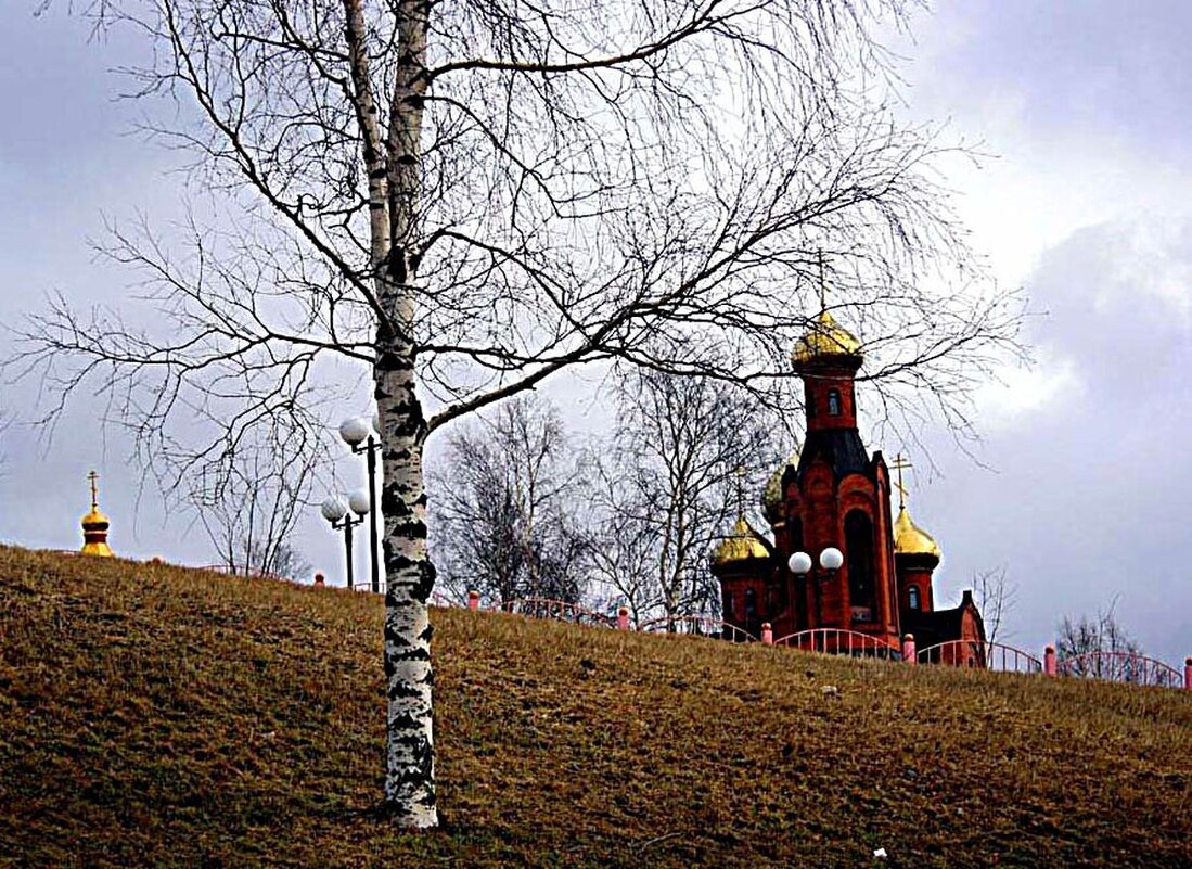 Хмурый майский день.. - Владимир 