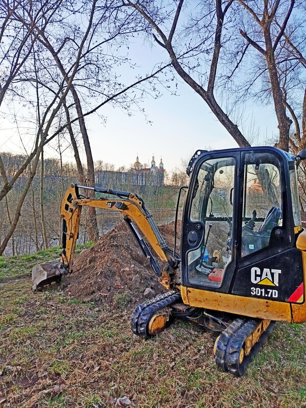 Коты бывают разные.... - Vladimir Semenchukov Коты бывают разные.... - Vladimir Semenchukov