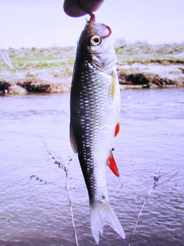 На рыбалке - Людмила Смородинская На рыбалке - Людмила Смородинская