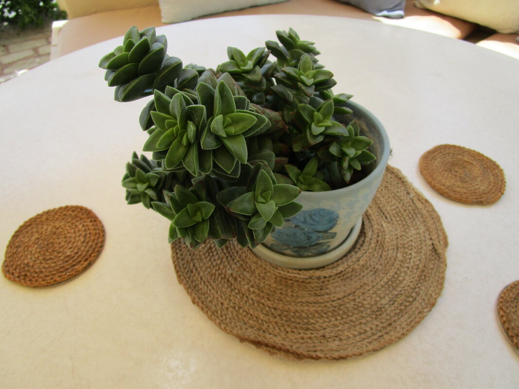 Мармарис июнь Турция - Елена Шаламова Мармарис июнь Турция - Елена Шаламова