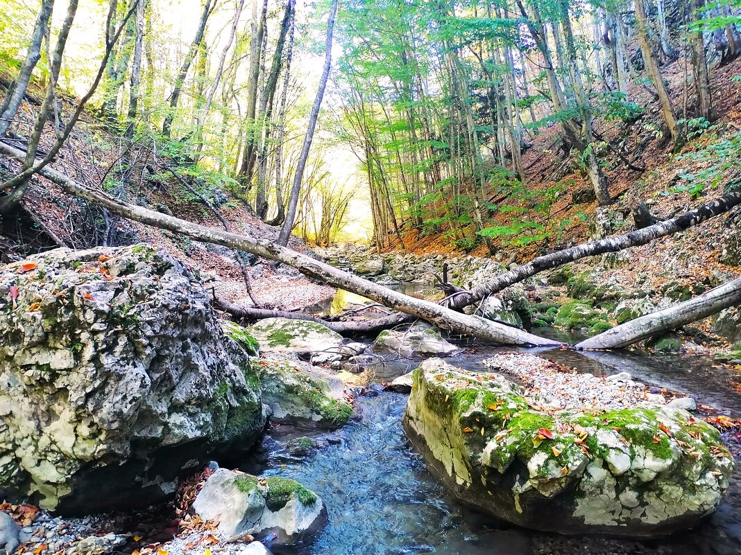 Горная речка - Павел Накоряков