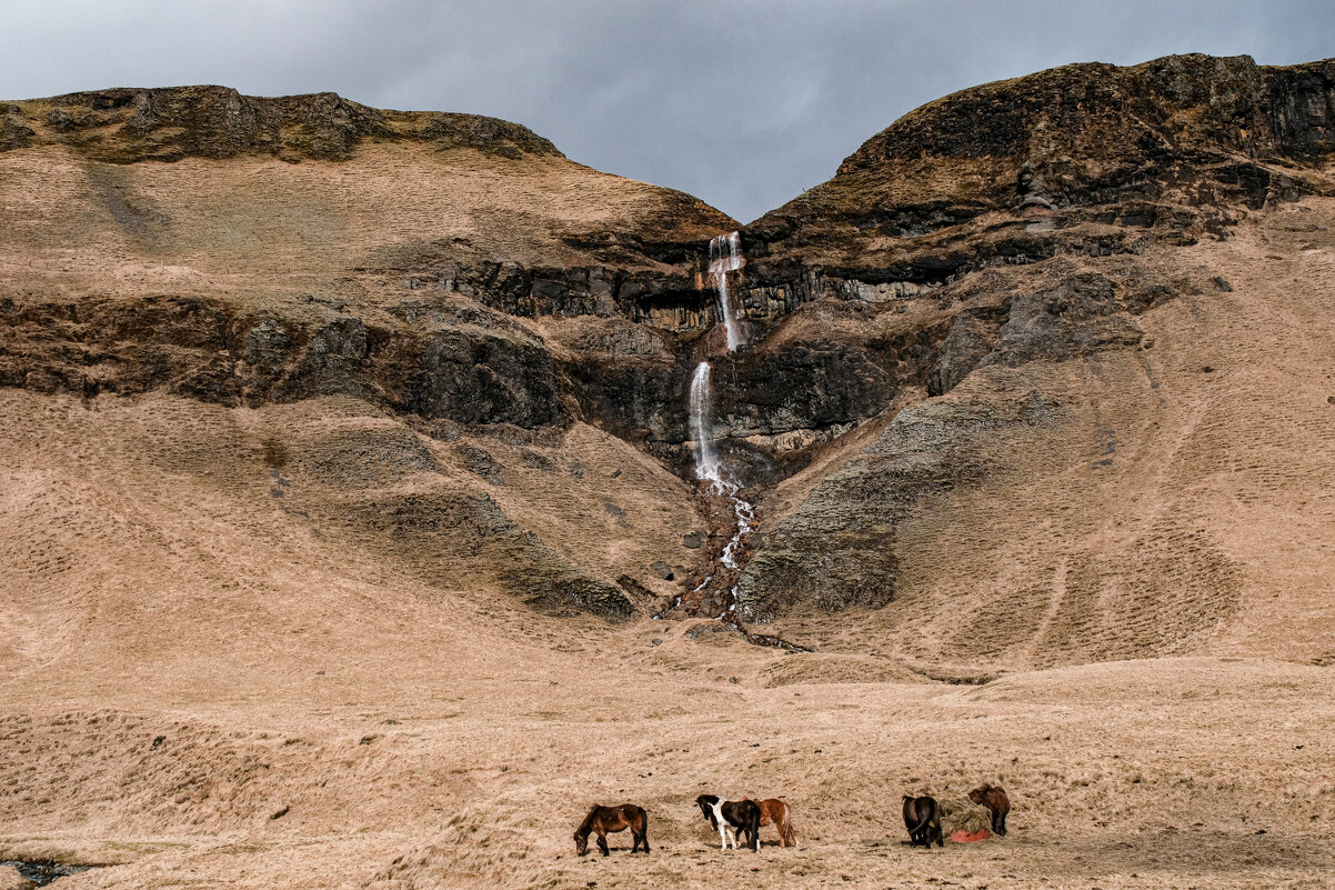 Лошади на фоне водопада Сидуфосс - Георгий А