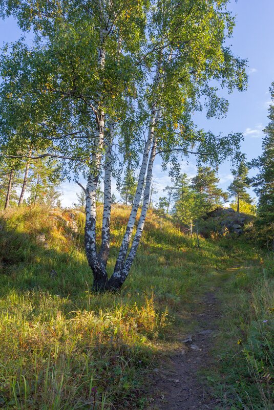 Летнее утро на перевале. Ильменский хребет. - Алексей Трухин