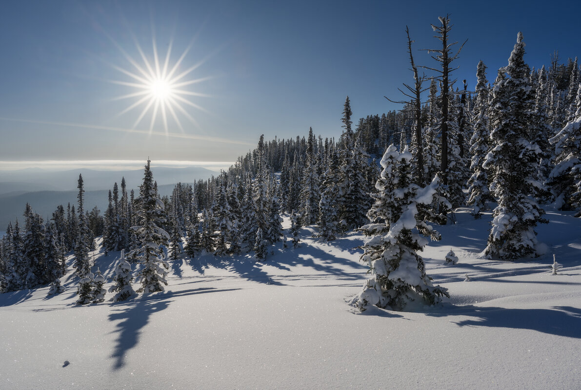 * - Александр Иванов * - Александр Иванов