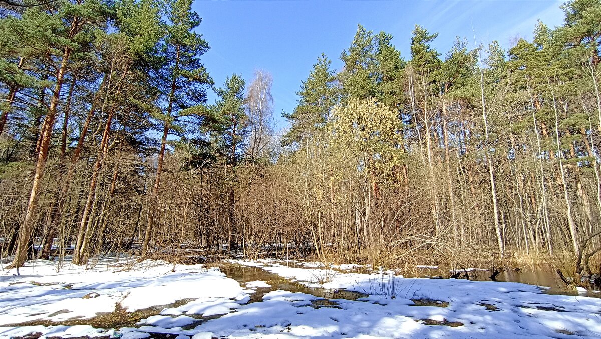 Апрель - Татьяна Тюменка