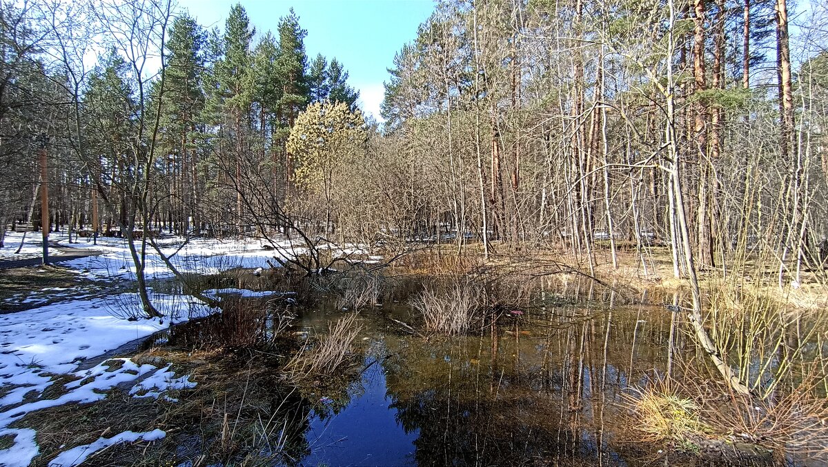 Апрель - Татьяна Тюменка