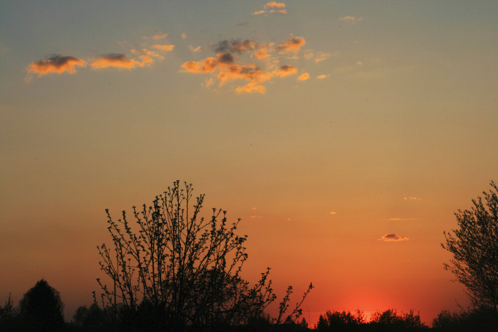 Апрельский закат - Галина Ильясова Апрельский закат - Галина Ильясова