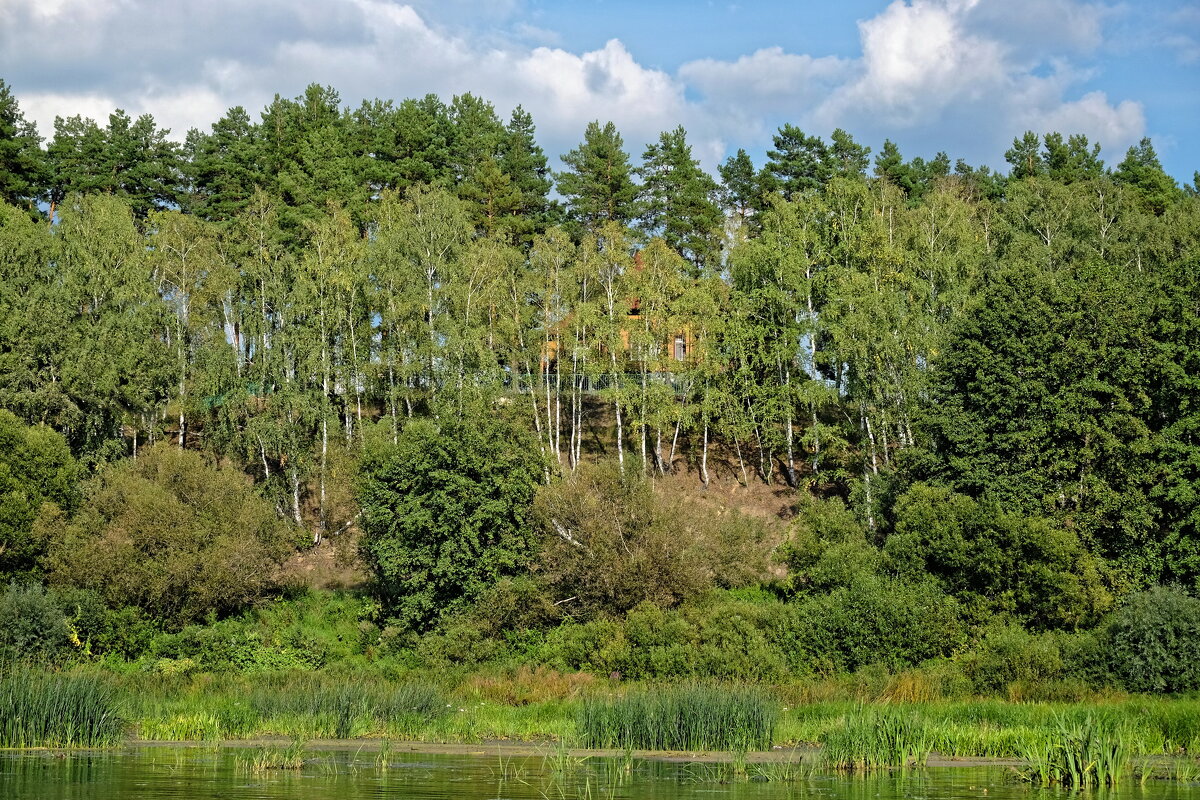 Дом на берегу реки - Валерий Судачок Дом на берегу реки - Валерий Судачок