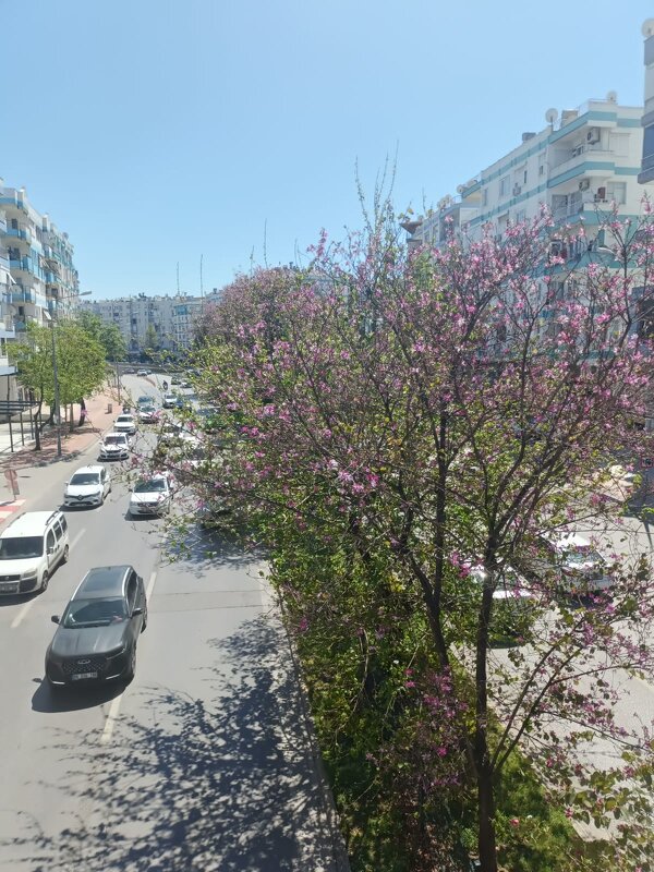 Апрель в Анталье - Виктор 