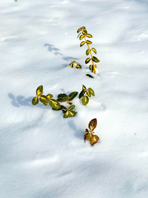 &&& - Яна Горбунова