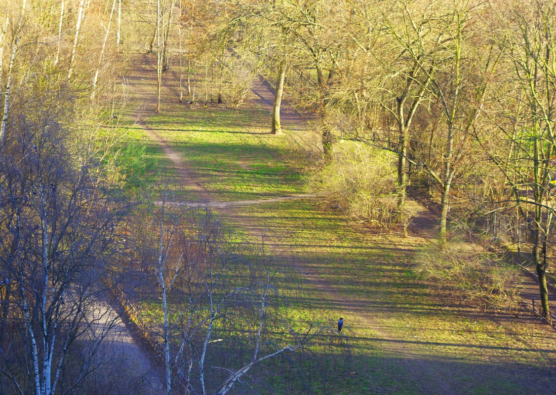 Пейзаж с вороной... - Юрий Куликов Пейзаж с вороной... - Юрий Куликов