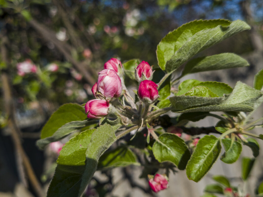 Весна - Валерий Ткаченко