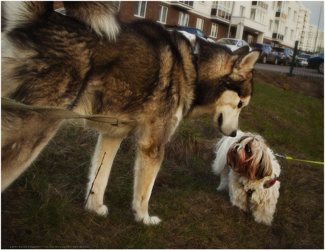 Ярик.Знакомство. - leff Postnov Ярик.Знакомство. - leff Postnov