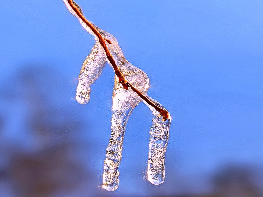 Сосулька повесилась. - Татьяна Нефедьева. 