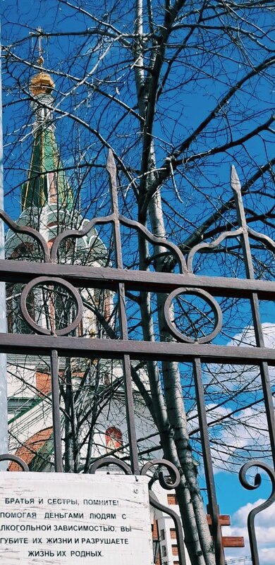 Жизнь - Георгиевич 