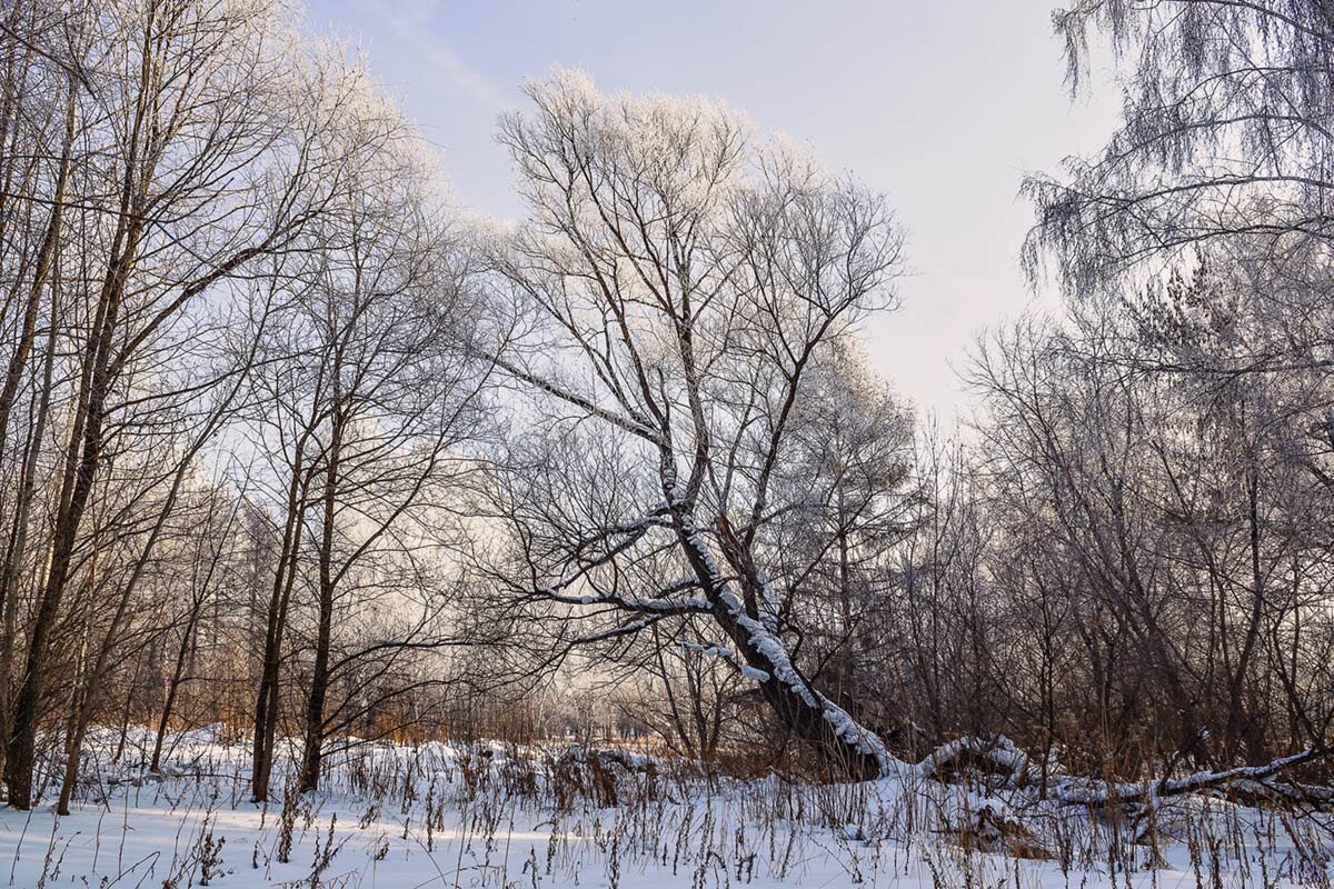 Пейзаж - SanSan 