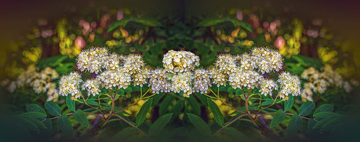 Коврик - Владимир Кроливец Коврик - Владимир Кроливец