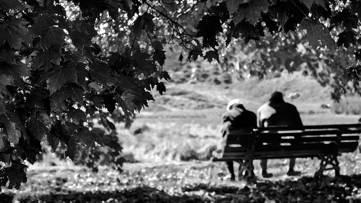 Как-то всё не так ... - Alexandеr P