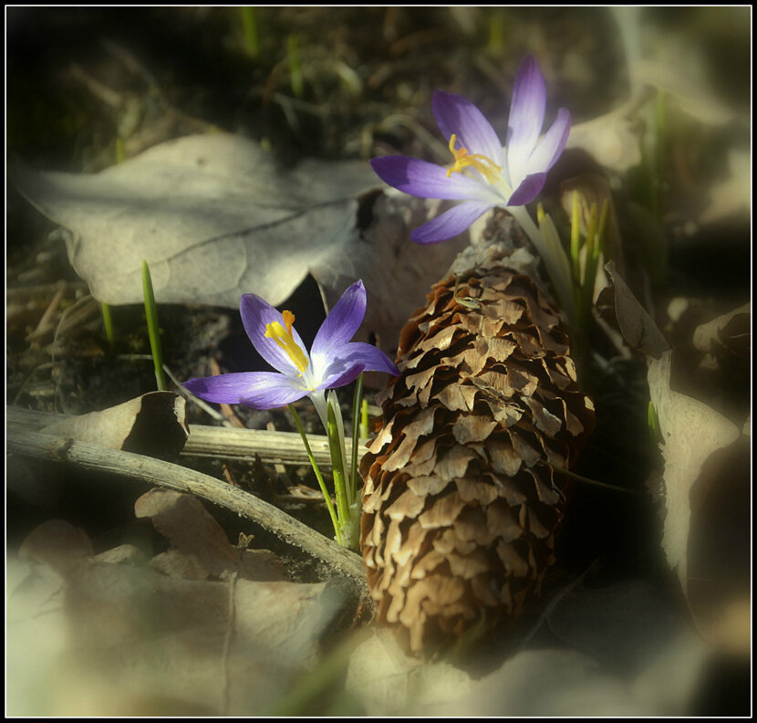 Жизнь продолжается - Aleksandr Gal Жизнь продолжается - Aleksandr Gal