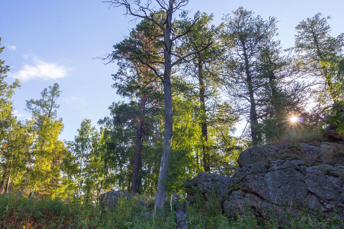 Летнее утро на перевале. Ильменский хребет. - Алексей Трухин