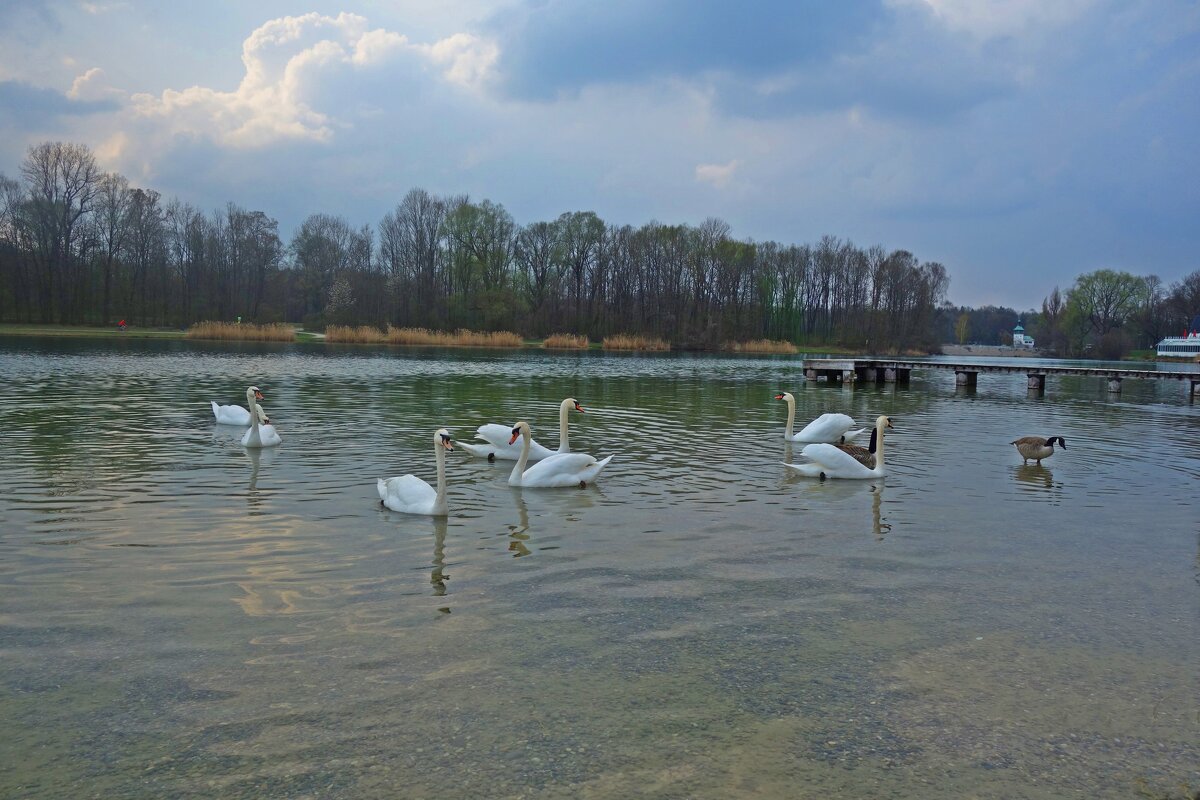 .... - Галина .... - Галина