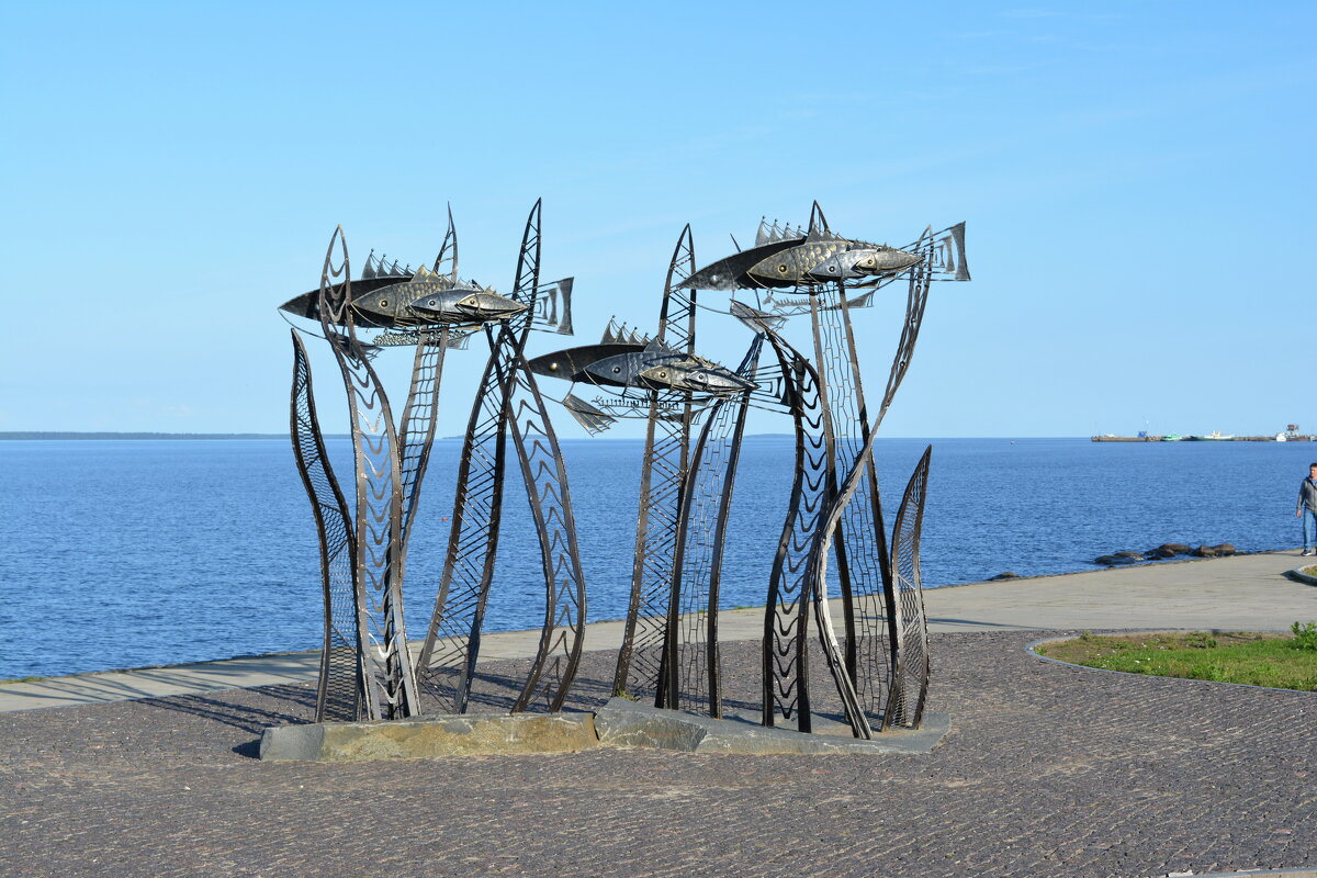 Петрозаводск - Николай 