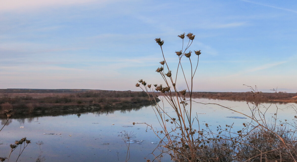 Прошлогодние цветы - Александр Семенов Прошлогодние цветы - Александр Семенов