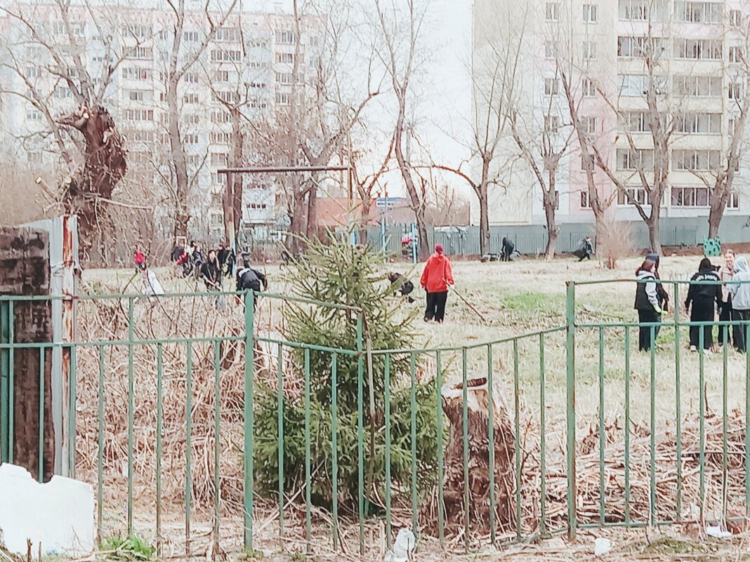 Школота на субботнике. - Игорь Солдаткин