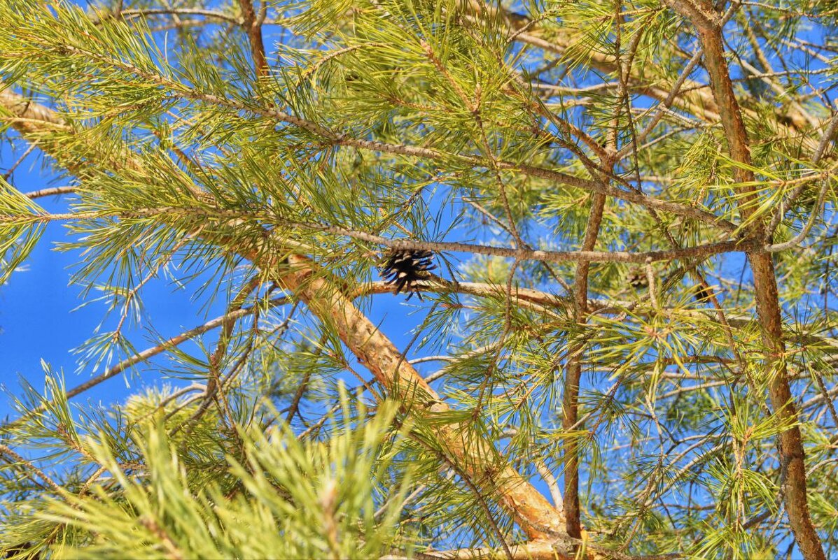 Что-то в этом есть - Анастасия Логинова