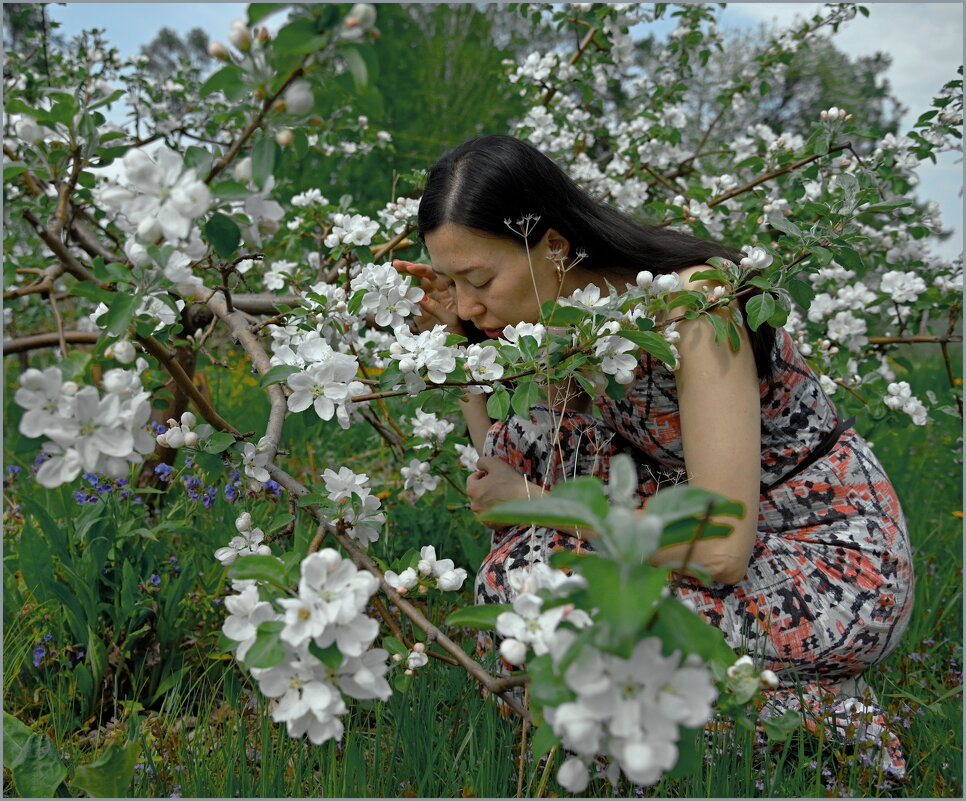 Запахи - Алексей Хвастунов