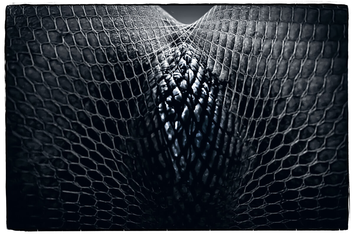 https://boosty.to/fotografsergei - Сергей Капицин