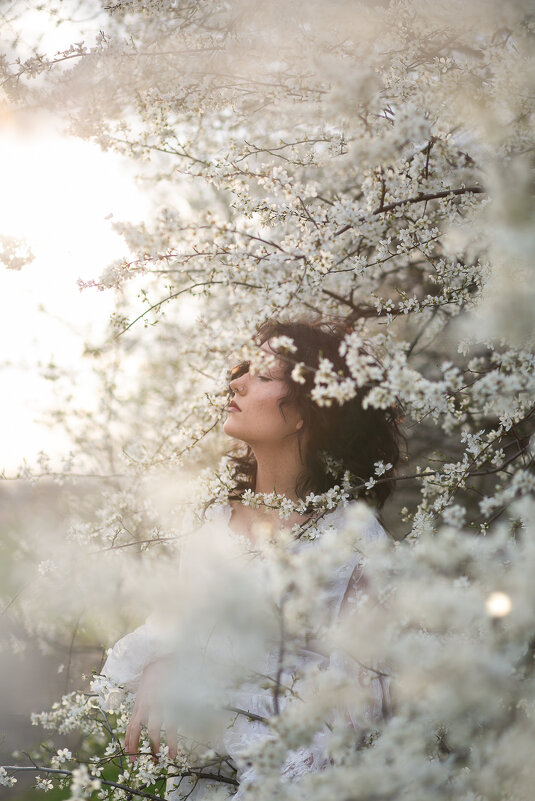 Ксю - Вероника Гергерт Ксю - Вероника Гергерт