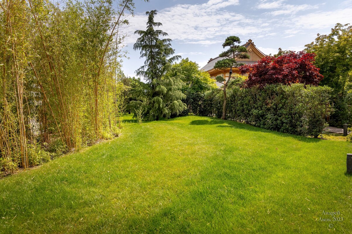 Парк Галицкого. Краснодар - Андрей Lyz