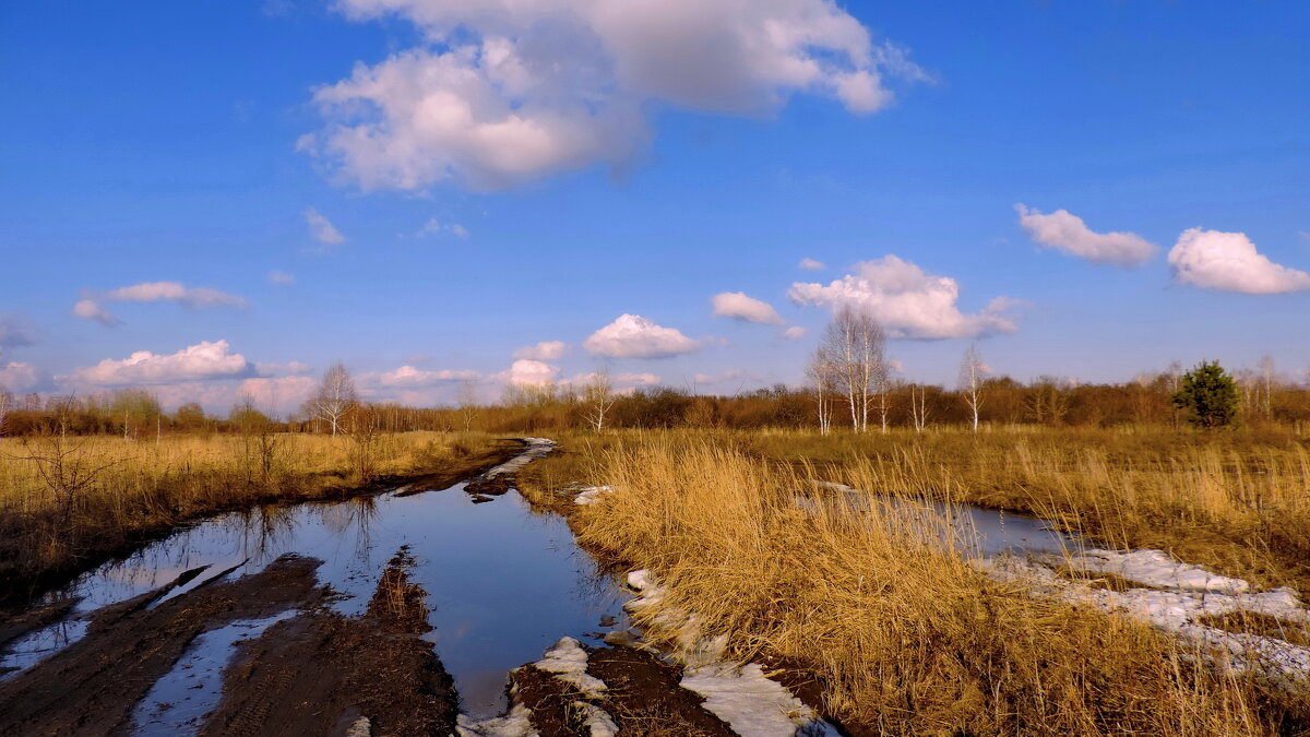Апрель 2021-го. - Татьяна Нефедьева. 
