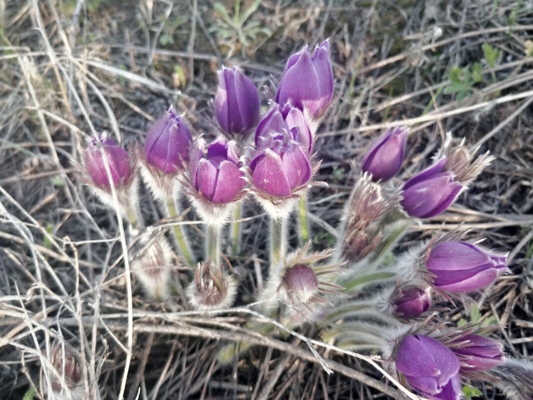 Апрель. - Андрей Хлопонин