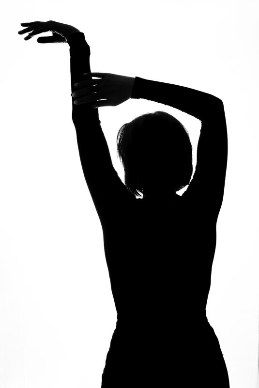 силуэт - Алексей Чигвинцев