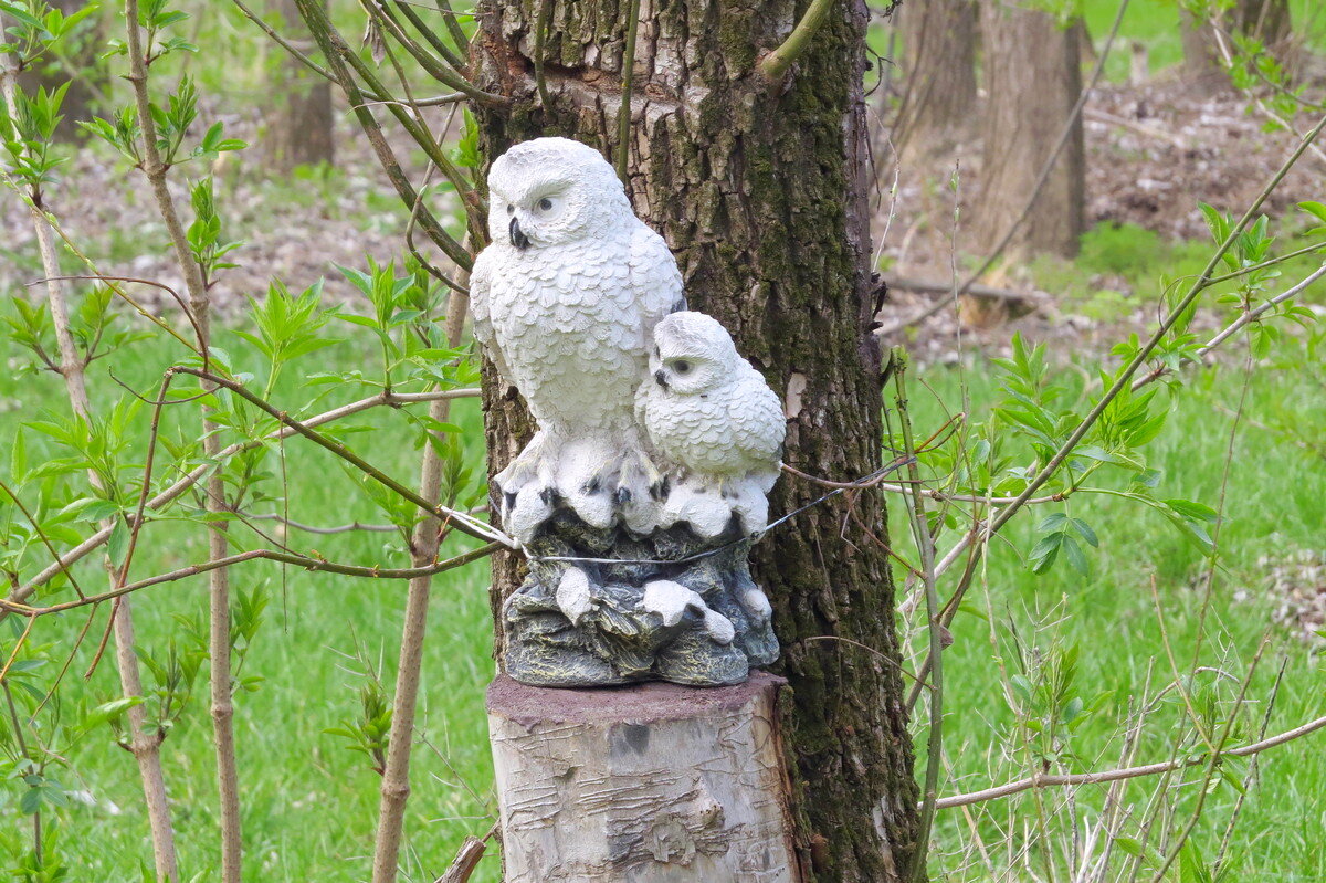 В сказочном лесу - Сеня Белгородский