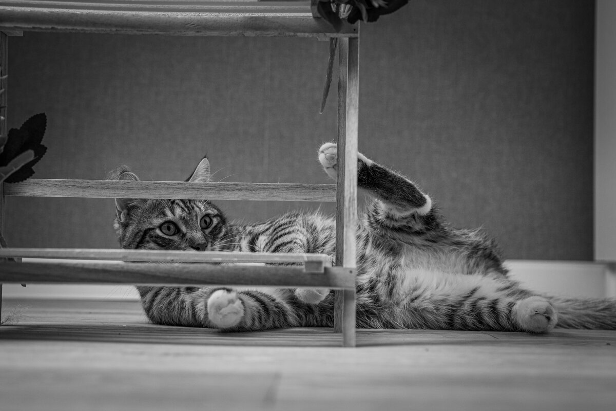 Устал - Олег Куб Устал - Олег Куб