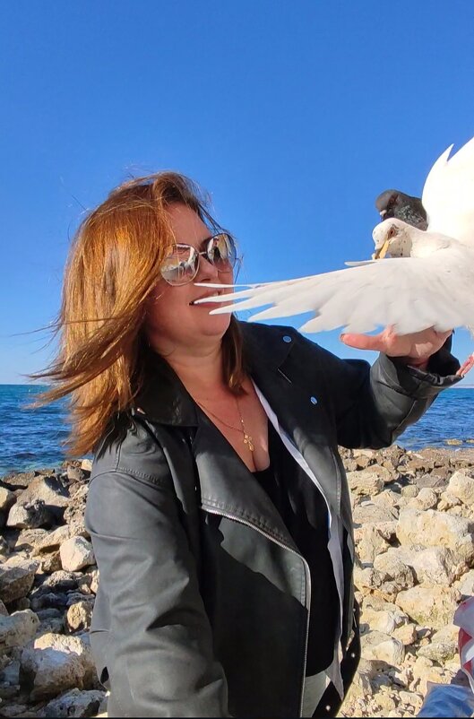 Фотосессия голубок) - Людмила Мила