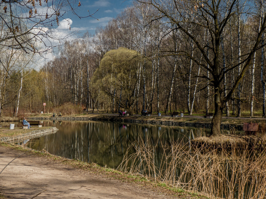 Ранняя весна на Путяевских прудах. - Василий Ярославцев Ранняя весна на Путяевских прудах. - Василий Ярославцев