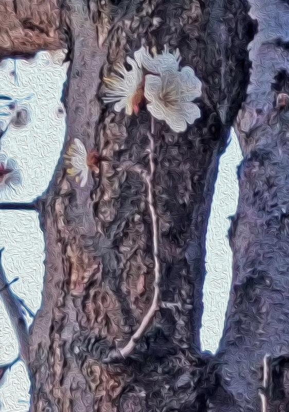 Пробились... - Валентина  Нефёдова 