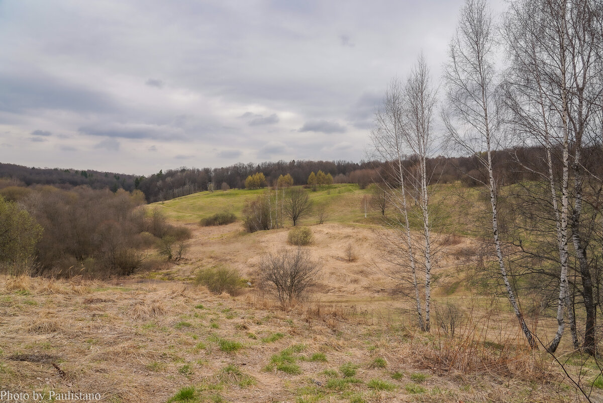 Апрель в Царицыно... - Владимир Жданов