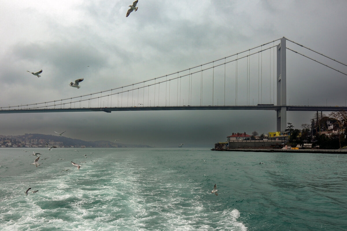 Босфор - skijumper Иванов