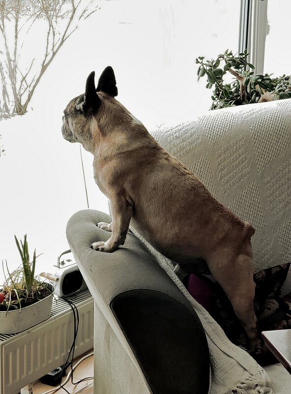 Кафе_2 - Vlaimir 