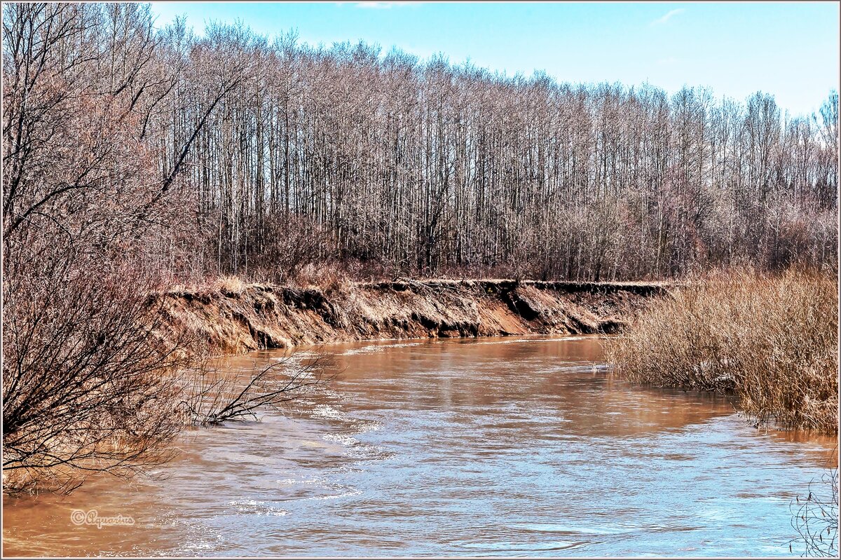 Про апрель... - Aquarius - Сергей Про апрель... - Aquarius - Сергей