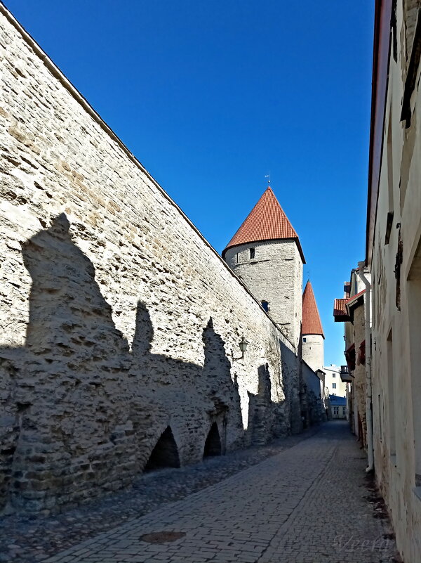 Вечные стражники... - Veera V Вечные стражники... - Veera V