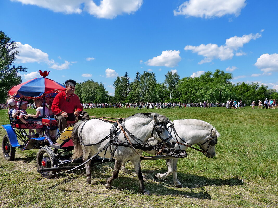 Эх, прокачу! - Татьяна Нефедьева. Эх, прокачу! - Татьяна Нефедьева.