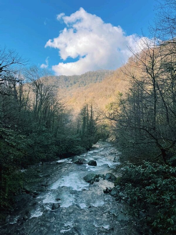 Бурлит река - Георгиевич Бурлит река - Георгиевич