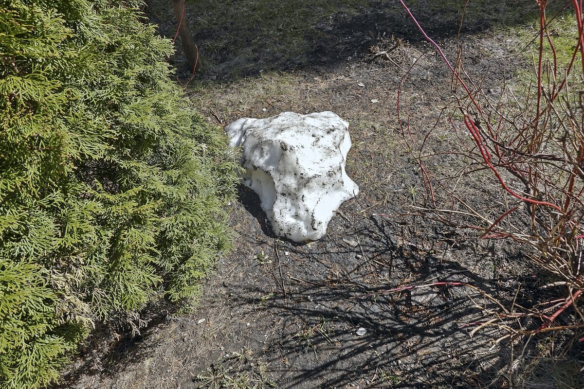 Спрятался - Валерий Иванович Спрятался - Валерий Иванович
